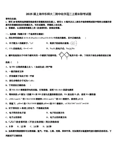 2025届上海华东师大二附中化学高三上期末联考试题含解析