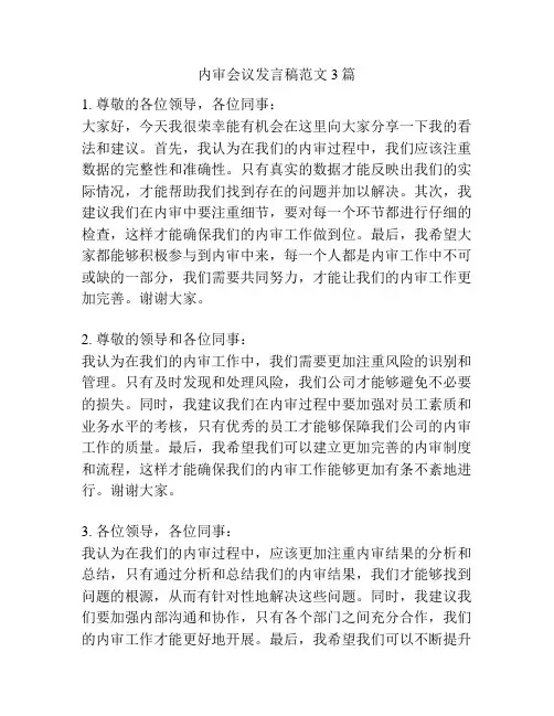 内审会议发言稿范文3篇