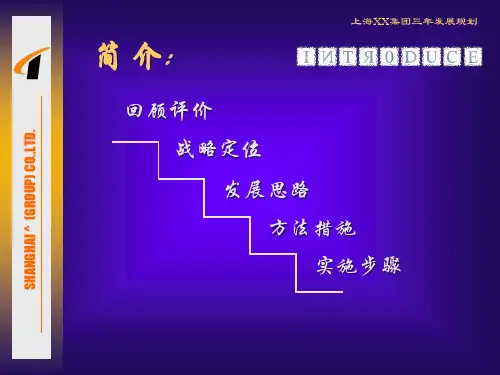 某有限公司三年发展规划