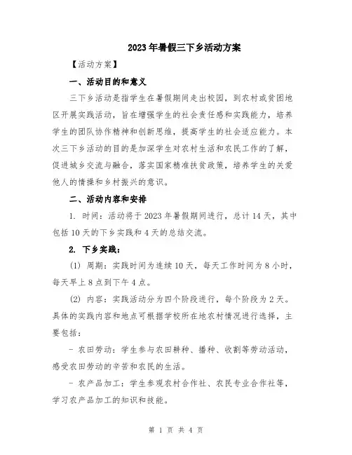 2023年暑假三下乡活动方案