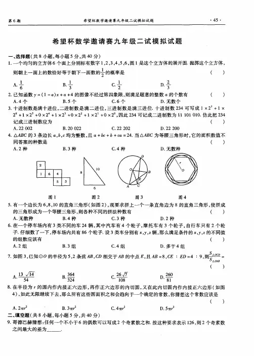 希望杯数学邀请赛九年级二试模拟试题