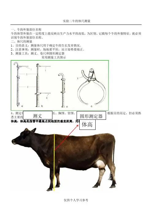牛生产体尺测量实验
