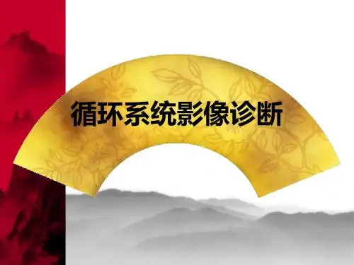 循环系统X线诊断