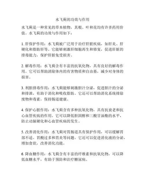 水飞蓟的功效与作用
