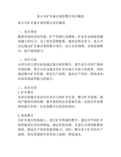 某公司矿井兼并重组整合项目概述