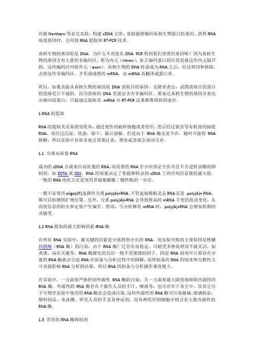 最全的RNA提取与RT-PCR实验步骤以及注意事项