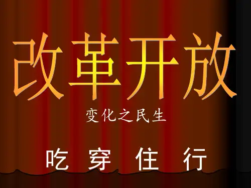 改革开放30年民生变化