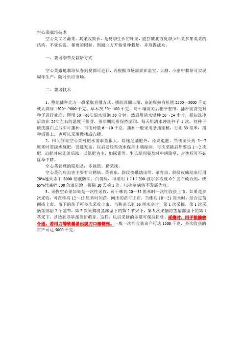 空心菜栽培技术