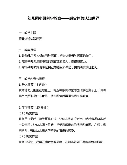 幼儿园小班科学教案——感官体验认知世界
