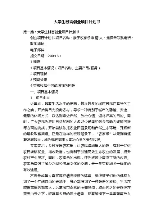 大学生村官创业项目计划书