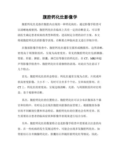 腹腔钙化灶影像学