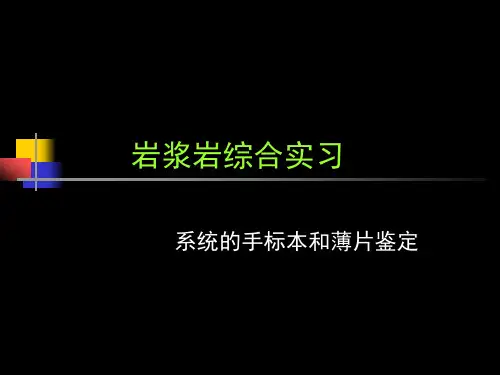 地质大岩浆岩实习课件：岩浆岩综合实习