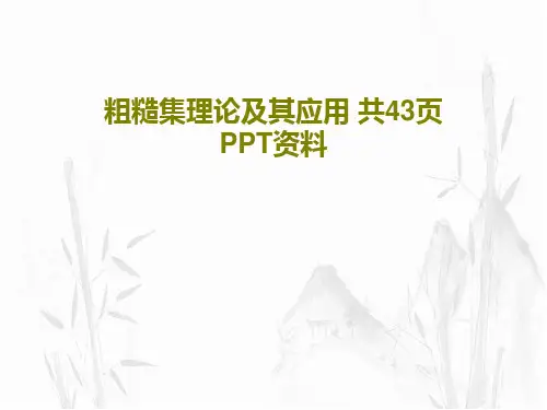 粗糙集理论及其应用 共43页PPT资料共45页