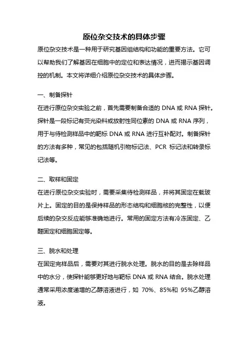 原位杂交技术的具体步骤
