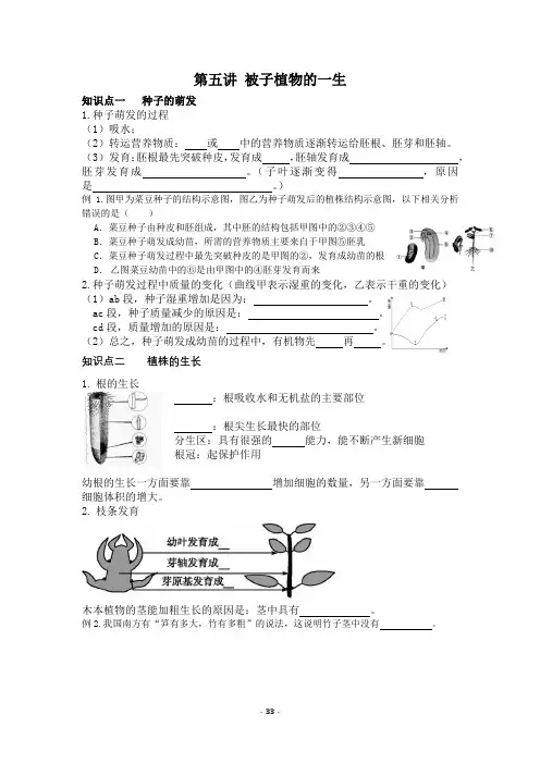 2024年生物中考一轮复习专项训练：第五讲被子植物的一生