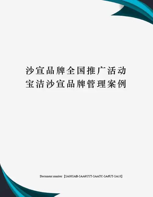 沙宣品牌全国推广活动宝洁沙宣品牌管理案例修订稿