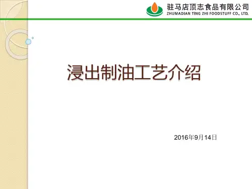 浸出工艺介绍