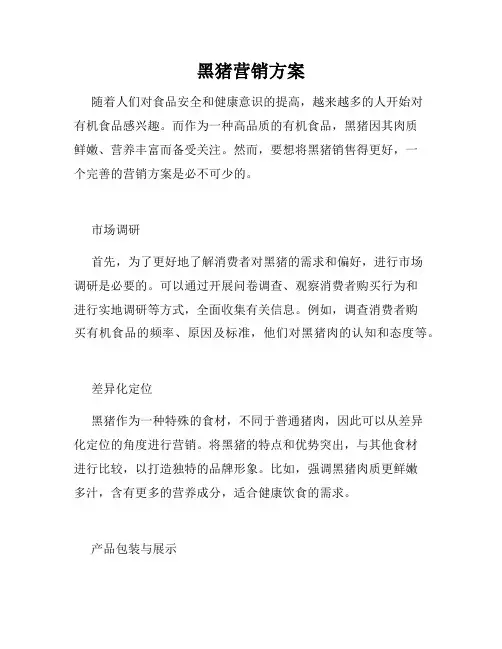 黑猪营销方案