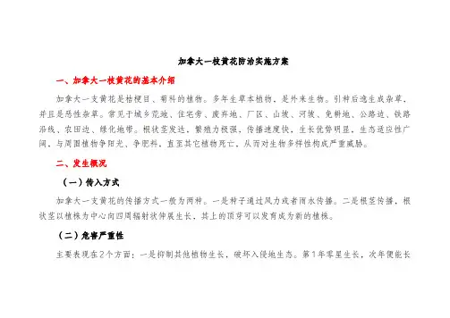 加拿大一枝黄花防治方案