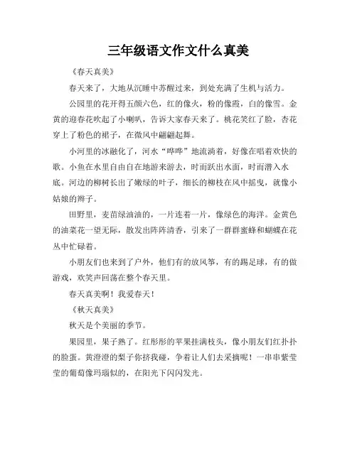 三年级语文作文什么真美