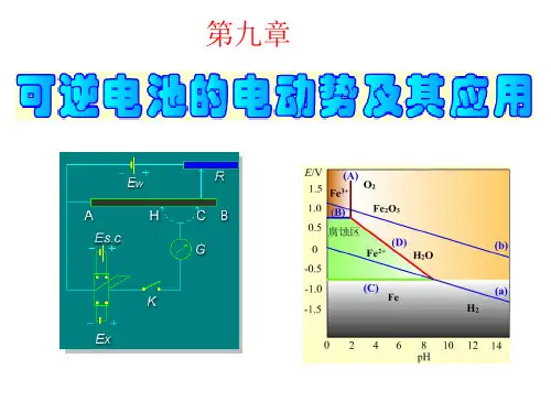 第九章 可逆电池的电动势及其应用