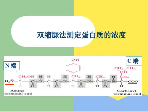 双缩脲法测定蛋白质的浓度优选PPT文档