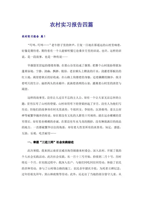 农村实习报告四篇