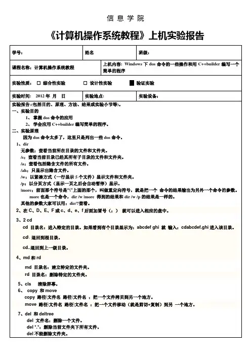 dos命令应用实验报告单