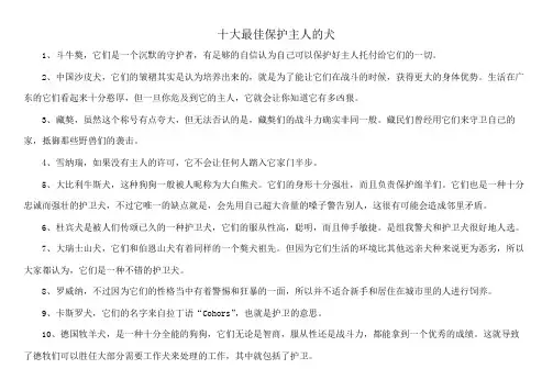 十大最佳保护主人的犬