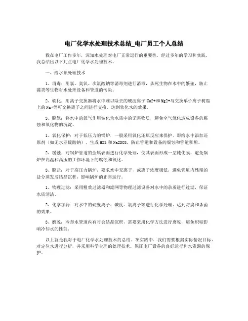 电厂化学水处理技术总结_电厂员工个人总结