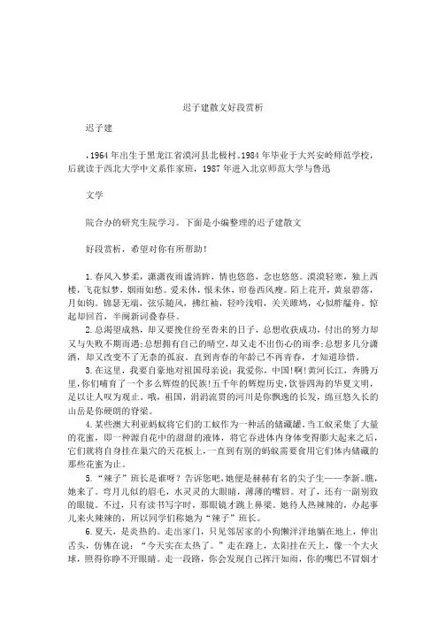 迟子建散文好段赏析