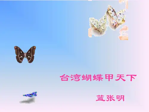 台湾蝴蝶甲天下