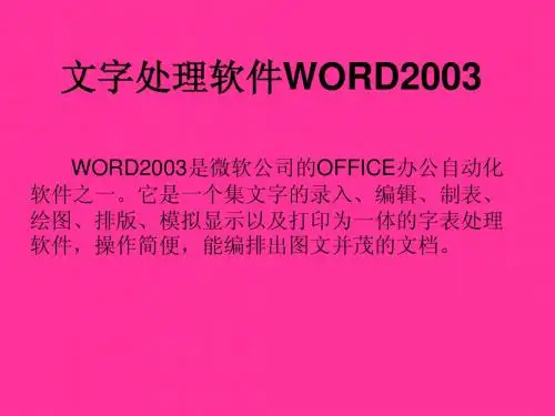WORD2003一