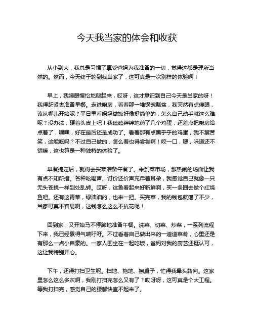 今天我当家的体会和收获
