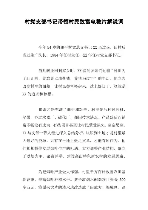 村党支部书记带领村民致富电教片解说词