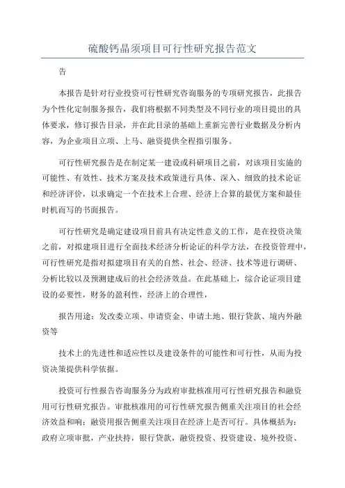 硫酸钙晶须项目可行性研究报告范文