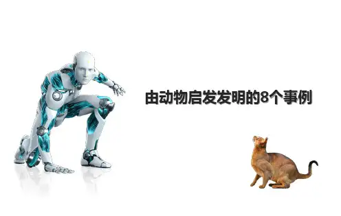 由动物启发发明的8个事例