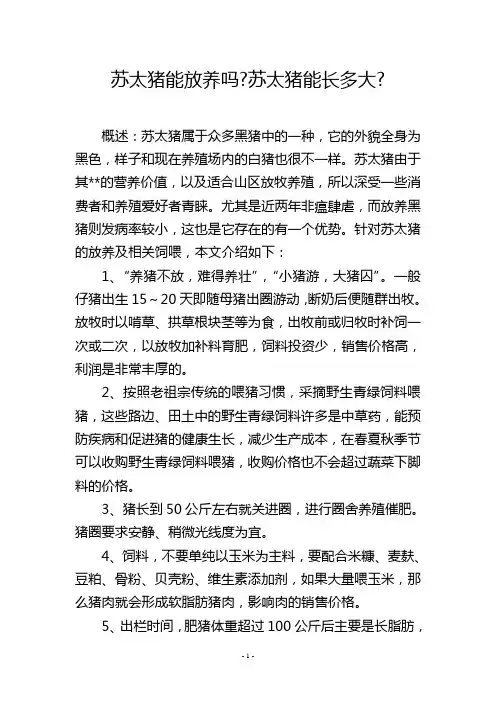 苏太猪能放养吗-苏太猪能长多大-