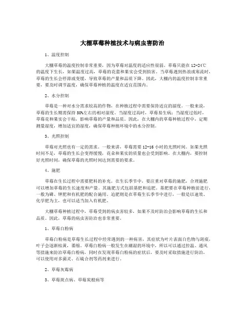 大棚草莓种植技术与病虫害防治