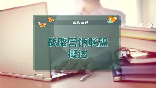 战略营销联盟概述