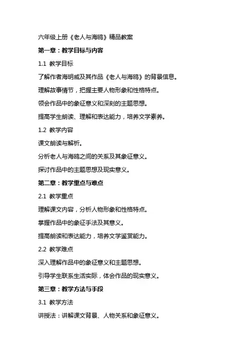 六年级上册《老人与海鸥》教案