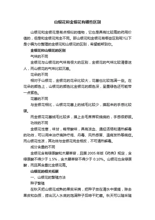 山银花和金银花有哪些区别