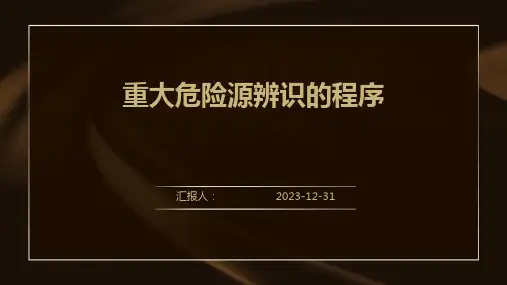 重大危险源辨识的程序
