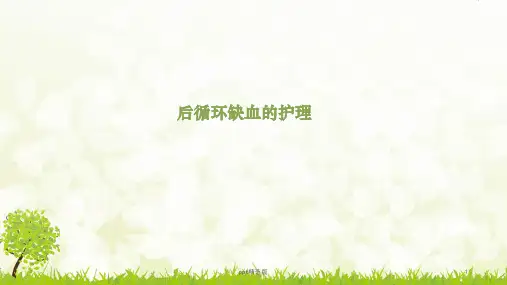 后循环缺血的护理1ppt课件