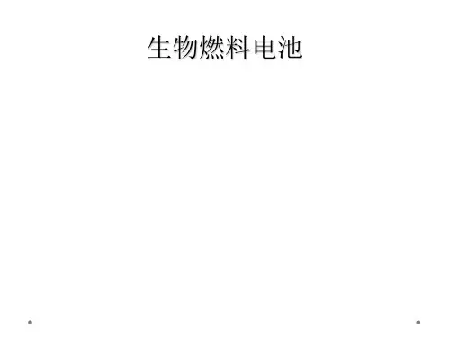 生物燃料电池