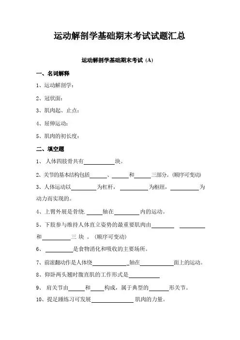 运动解剖学基础期末考试试题汇总