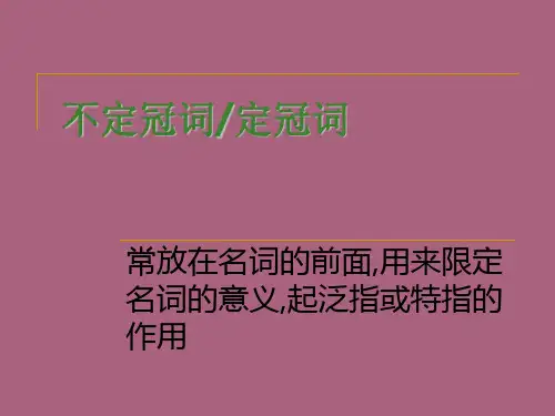 英语语法——冠词ppt课件