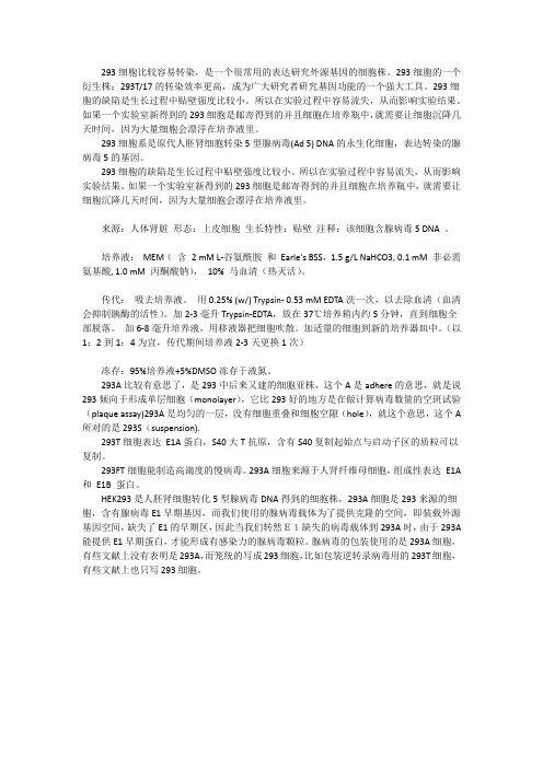 293细胞