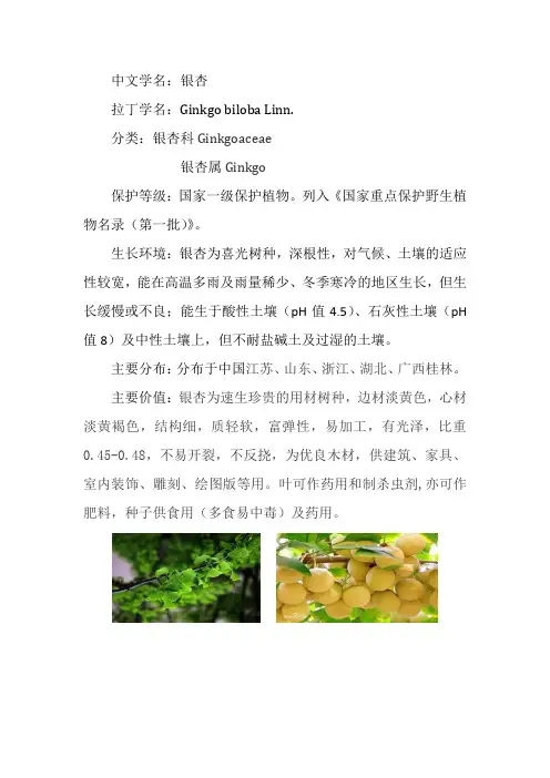12种广西境内国家一级保护植物
