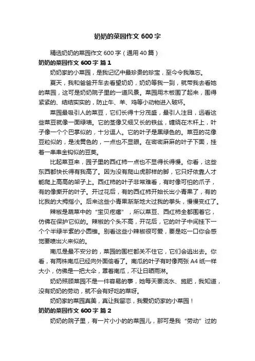 精选奶奶的菜园作文600字（通用40篇）